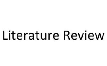 literature review